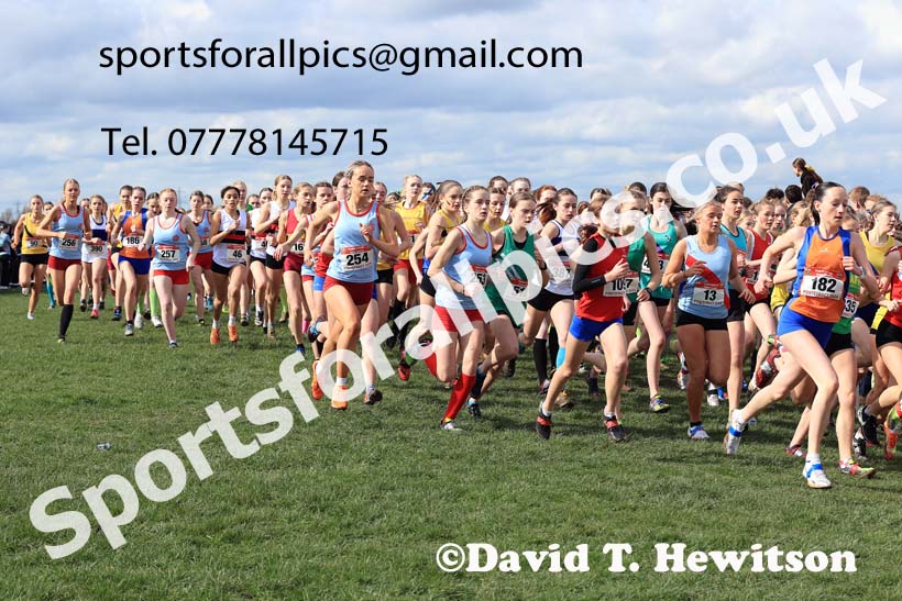 Intermediate Girls 2024 English Schools Cross Country Champs., Pontefract, March 16th.  Photo: David T. Hewitson/Sports for All Pics